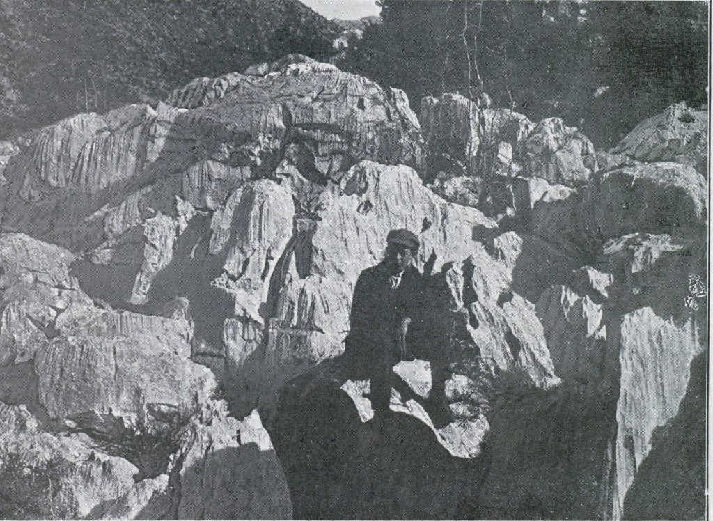 слика шкрапе