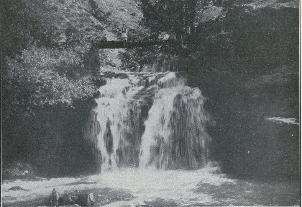 Скок Савовске реке на ушћу у Студеницу,